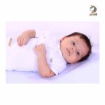 آستین کوتاه یقه دار نوزاد طرح دو خرس برند برگ سبز - Image 3