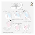 بالش بارداری L رزبرن Roseborn - Image 3