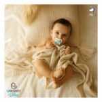 پستانک یومامی پرایم لاک پشت umomy نوزاد - Image 2